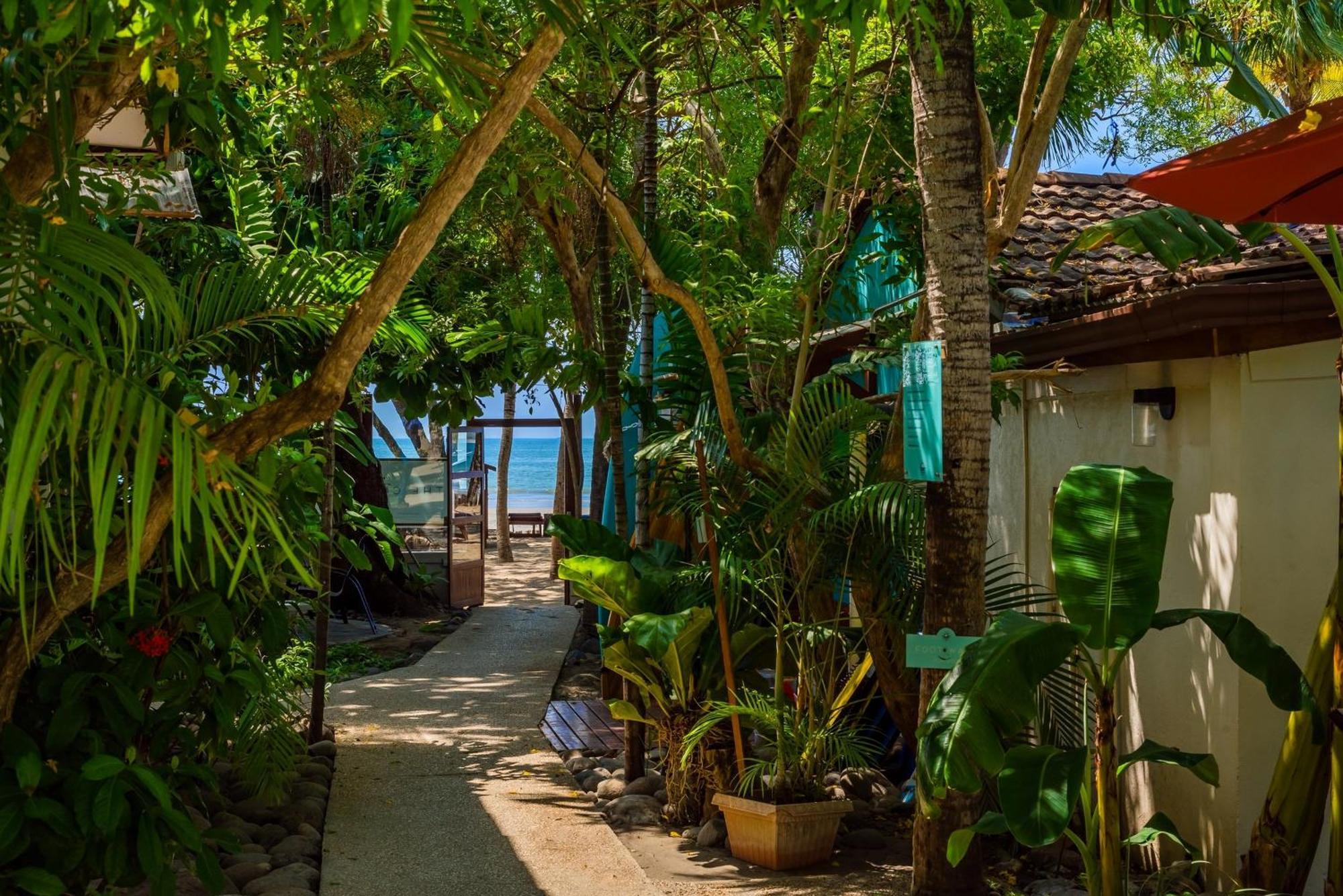 The Coast Beachfront Hotel Tamarindo Ngoại thất bức ảnh