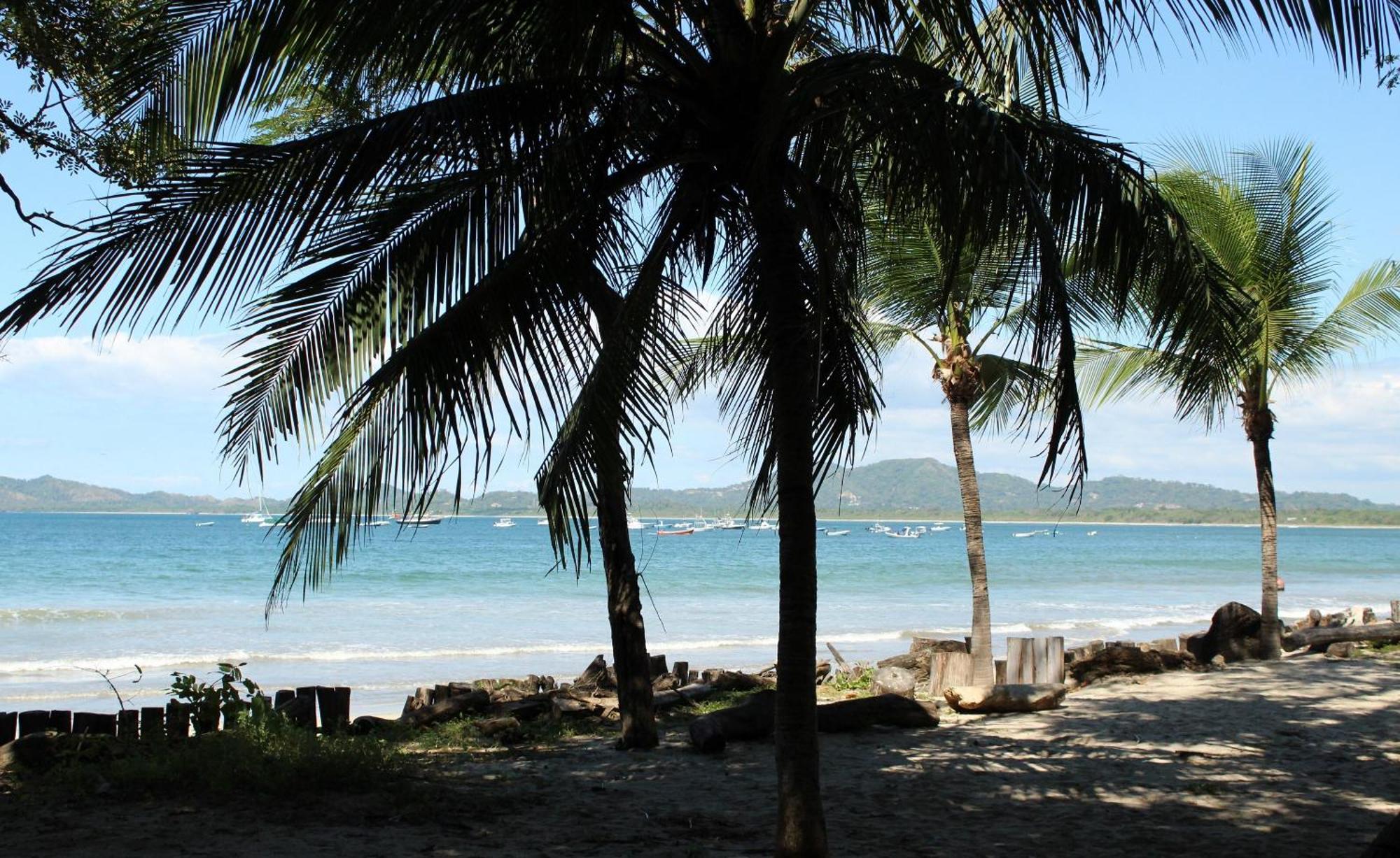 The Coast Beachfront Hotel Tamarindo Ngoại thất bức ảnh